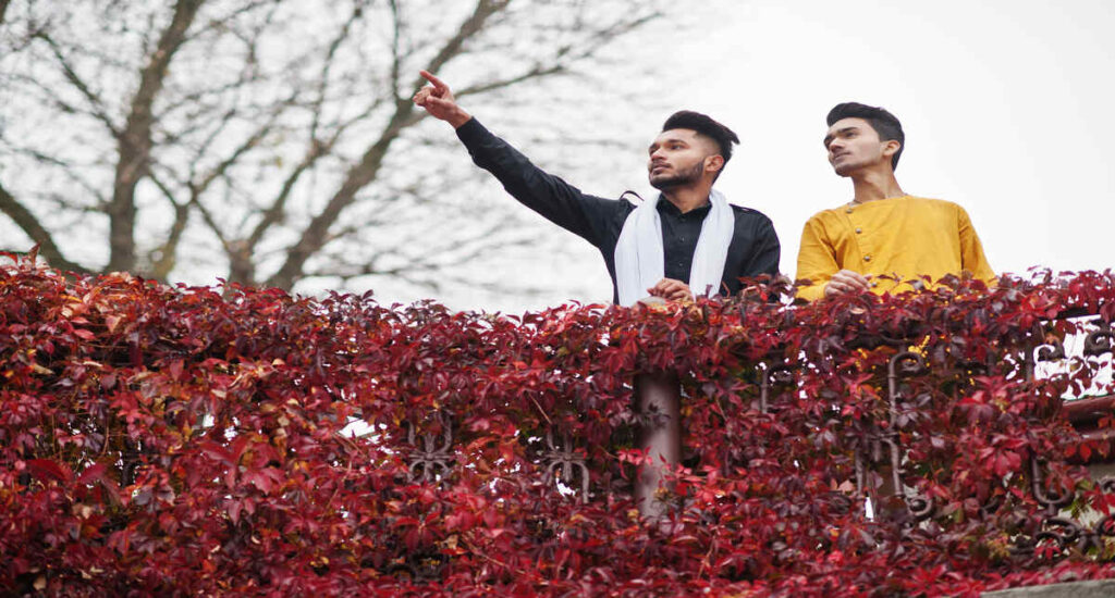 Give People Clear Paths to Grow